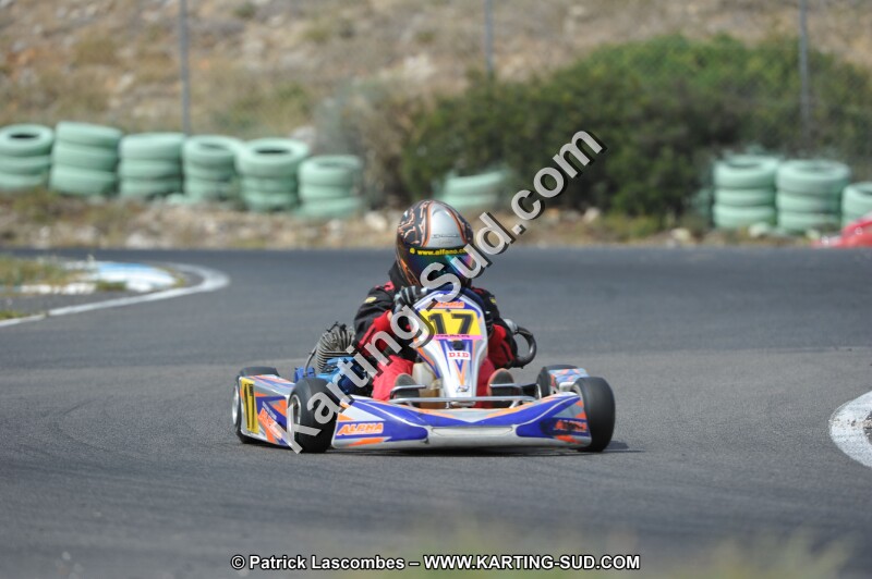 DSC (3095).JPG